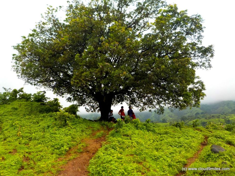 Photo of A Trek to Garbett Plateau!!! by Cloud9miles