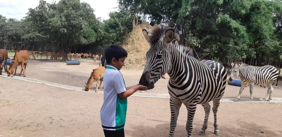 Photo of Mokorro Hotel, Chingola, Zambia by pragati09