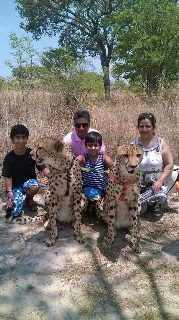 Photo of Animal =Africa by pragati09