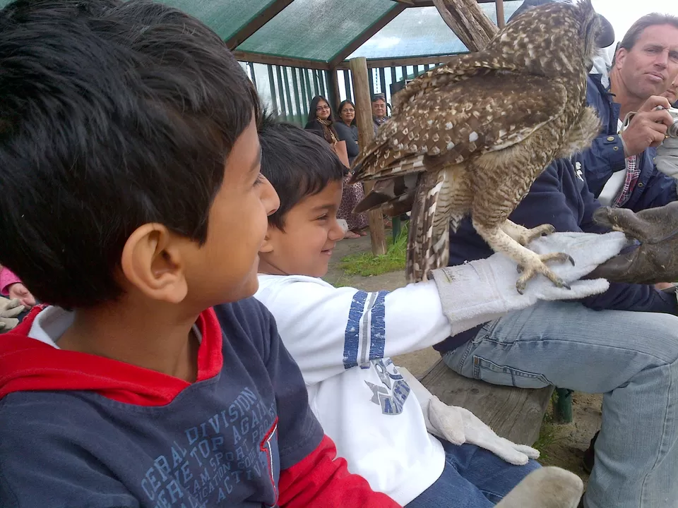 Photo of Spier Wine Farm, Baden Powell Drive, Stellenbosch, South Africa by pragati09