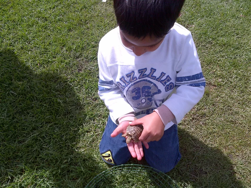 Photo of Spier Wine Farm, Baden Powell Drive, Stellenbosch, South Africa by pragati09