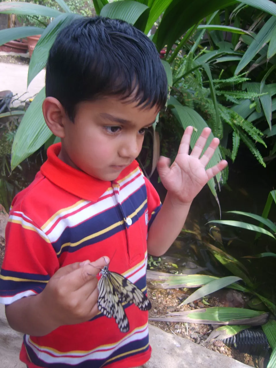 Photo of Pietermaritzburg, South Africa by pragati09