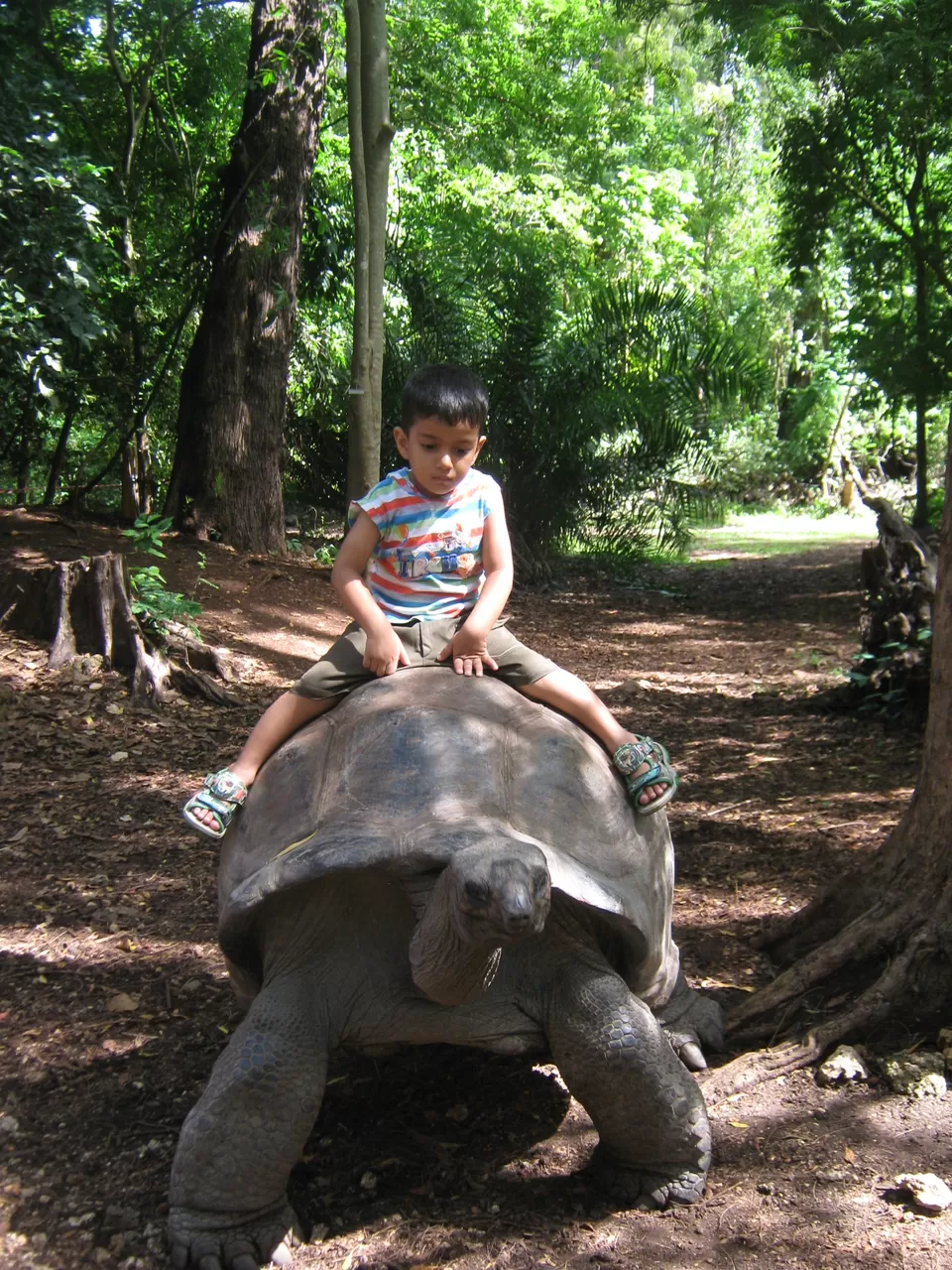 Photo of Haller Park, Mombasa, Kenya by pragati09