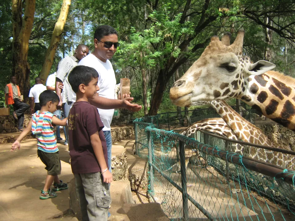 Photo of Haller Park, Mombasa, Kenya by pragati09