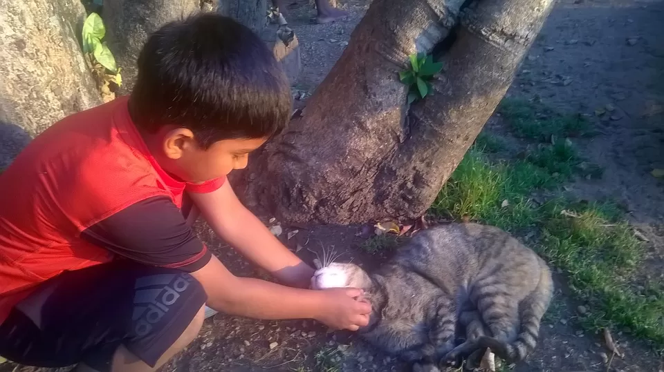 Photo of Nsobe Game Camp Campsite, Masaiti, Zambia by pragati09
