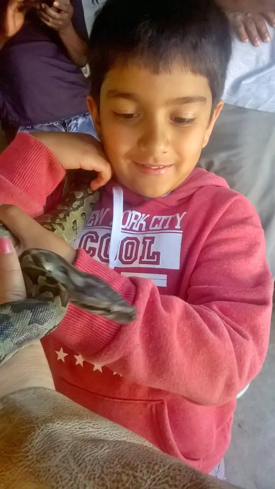 Photo of Nsobe Camp, Zambia by pragati09