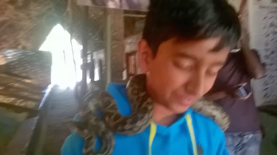 Photo of Nsobe Camp, Zambia by pragati09