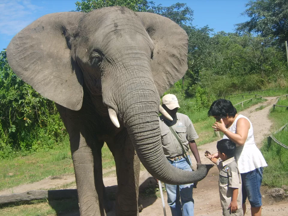 Photo of Mpumalanga, South Africa by pragati09