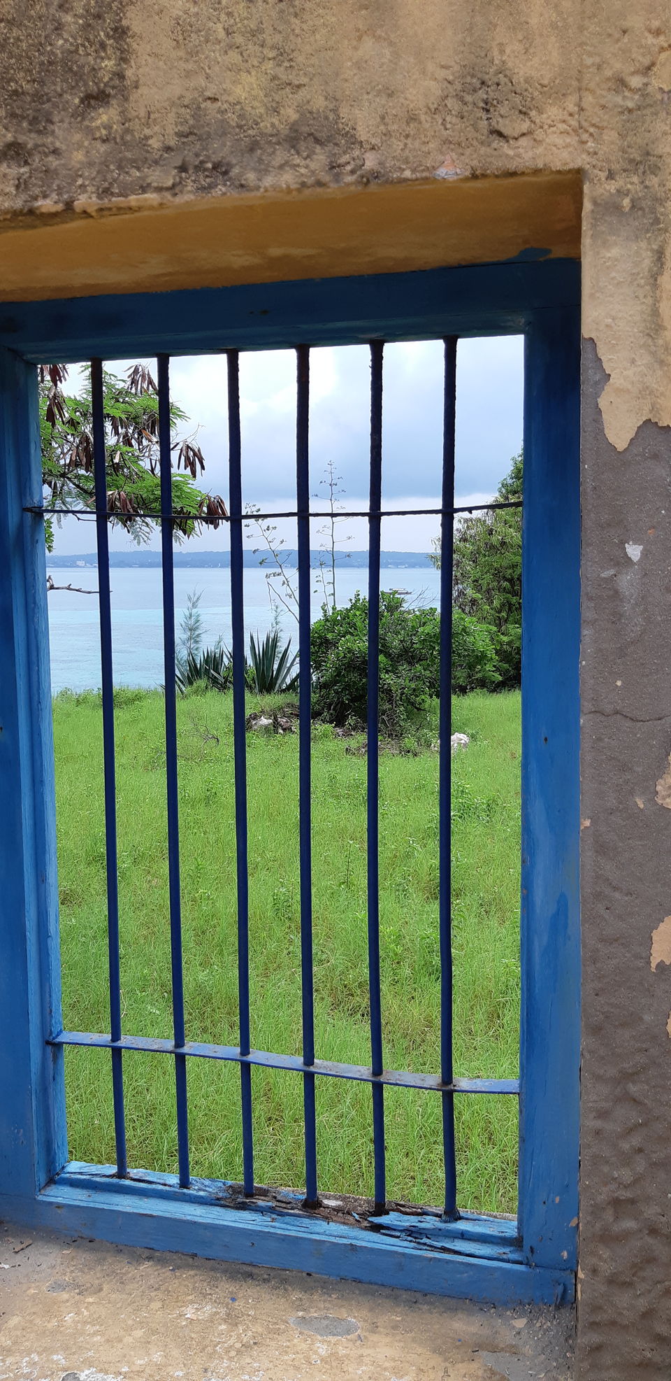 Photo of Prison Island, Zanzibar Urban West Region, Tanzania by pragati09