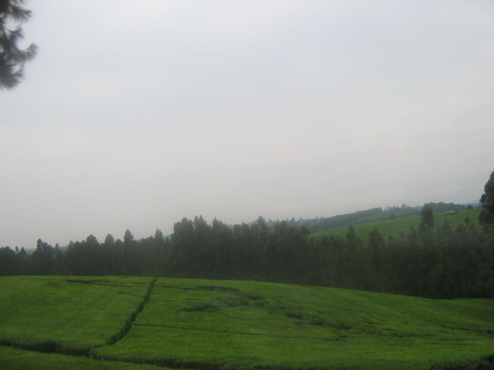 Photo of Entebbe, Uganda by pragati09