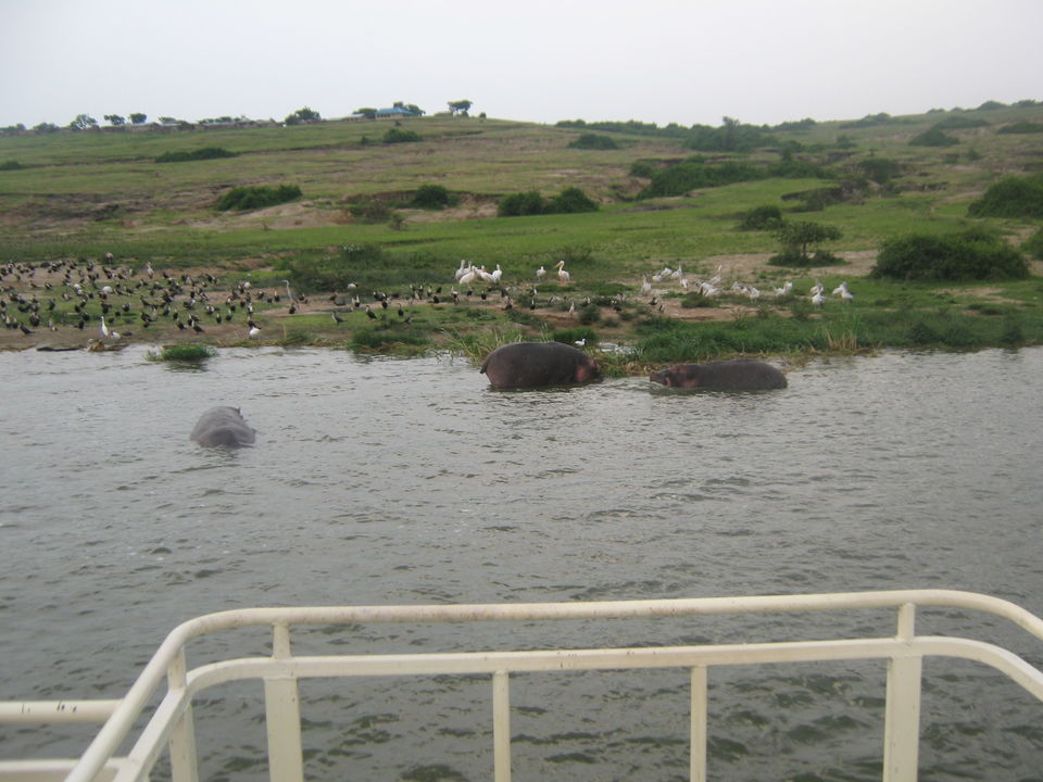 Photo of Entebbe, Uganda by pragati09