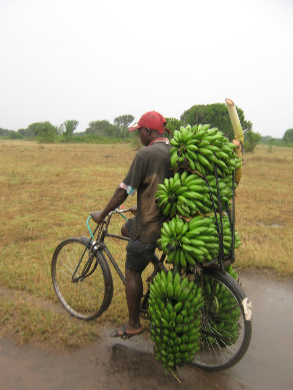 Photo of Entebbe, Uganda by pragati09