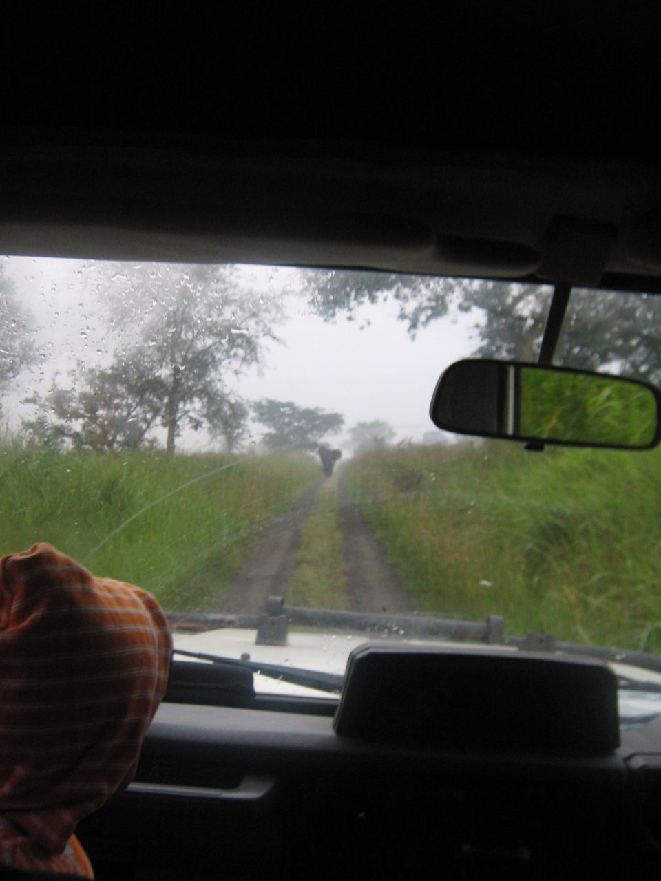 Photo of Entebbe, Uganda by pragati09