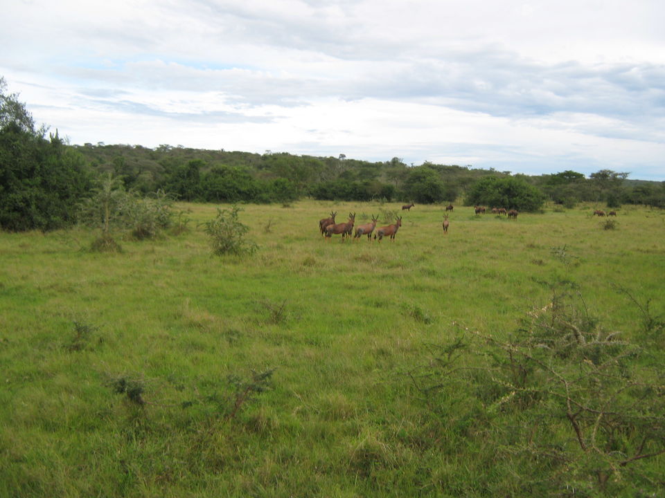 Photo of Entebbe, Uganda by pragati09
