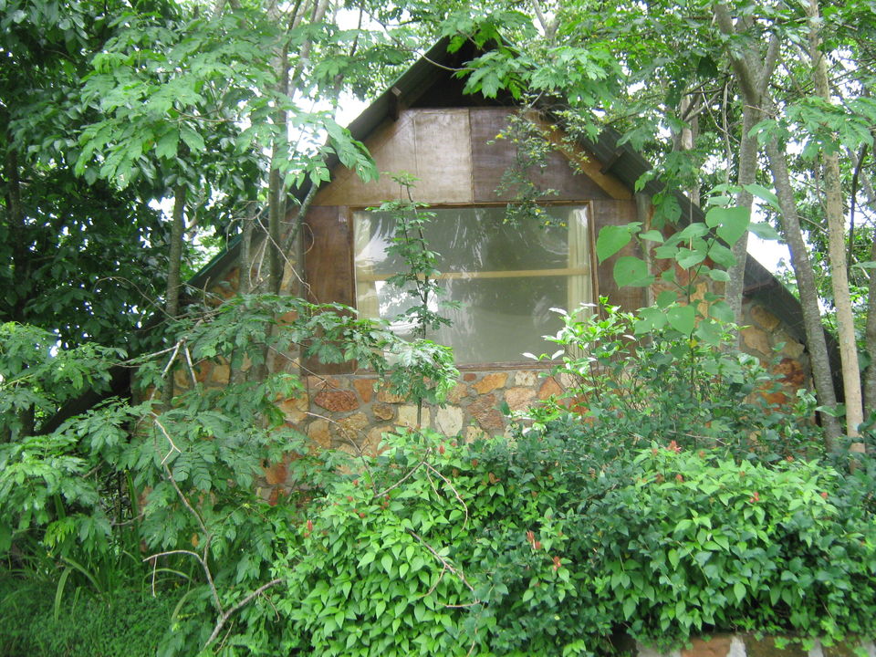 Photo of Entebbe, Uganda by pragati09