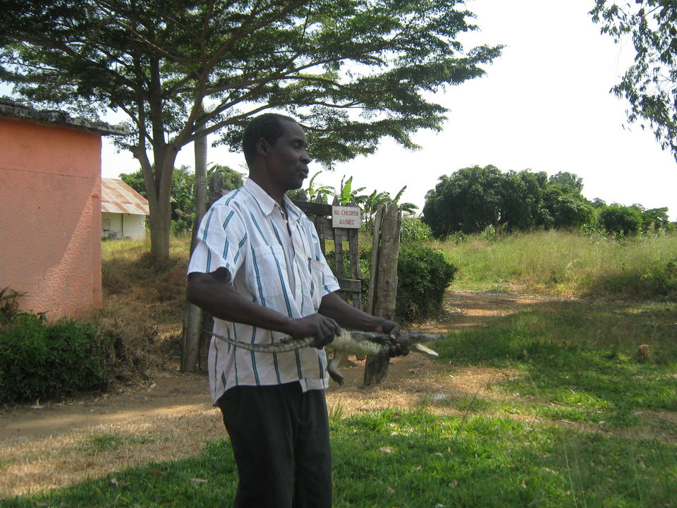 Photo of Entebbe, Uganda by pragati09