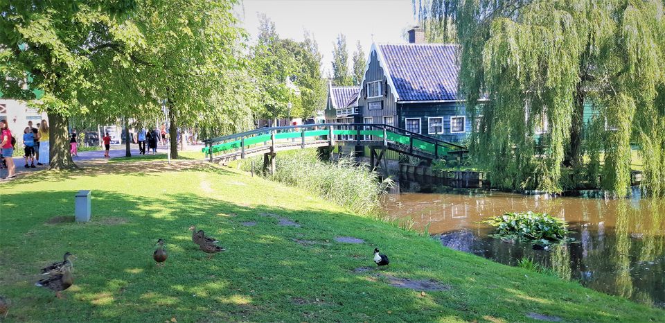 Photo of Zaanse Schans is so fake...is it? 11/11 by pragati09