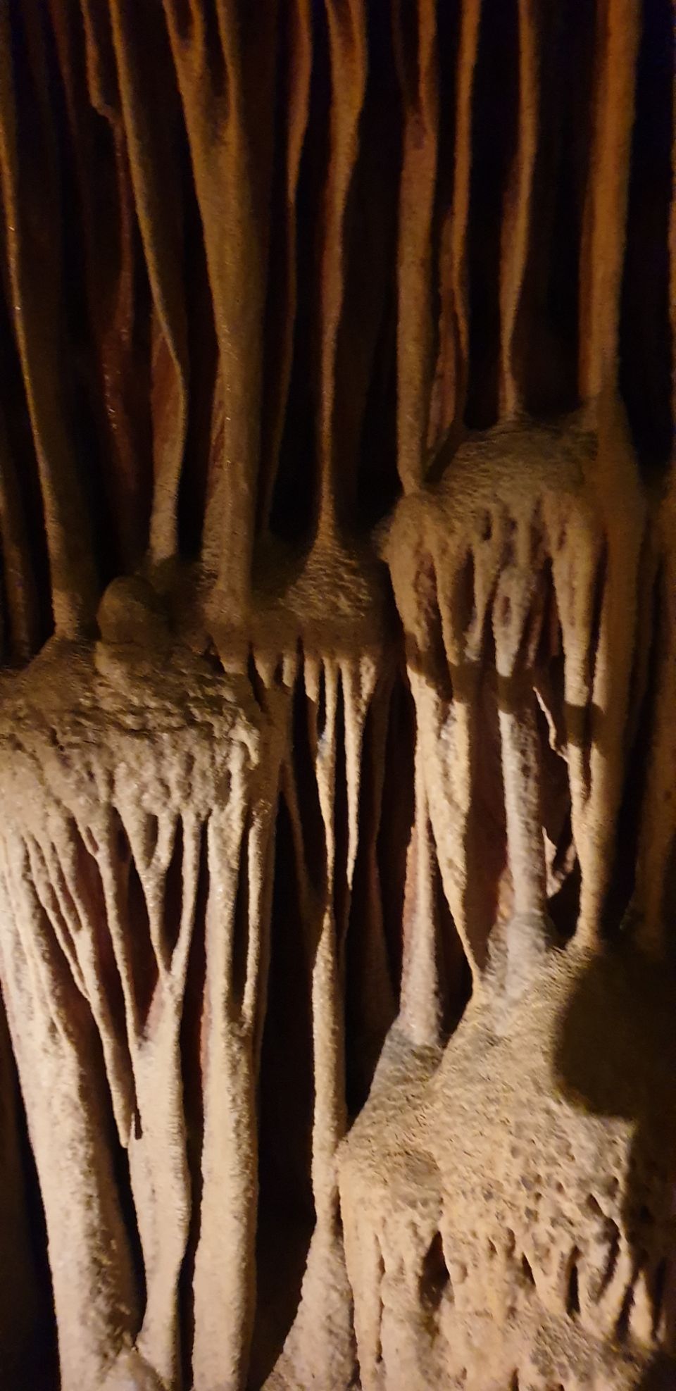 Photo of Drach Caves, Carretera de les Coves, Porto Cristo, Spain by Shilpa Shenoy