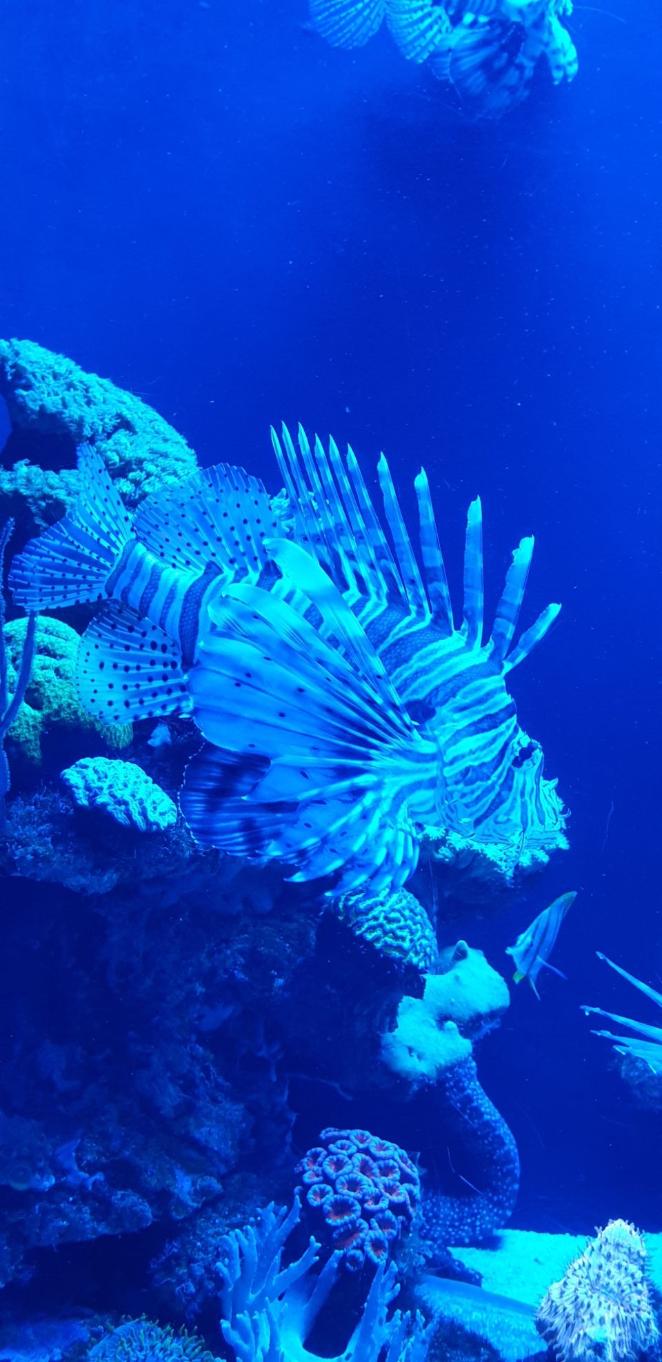 Photo of Palma Aquarium, Carrer de Manuela de los Herreros, Palma, Spain by Shilpa Shenoy