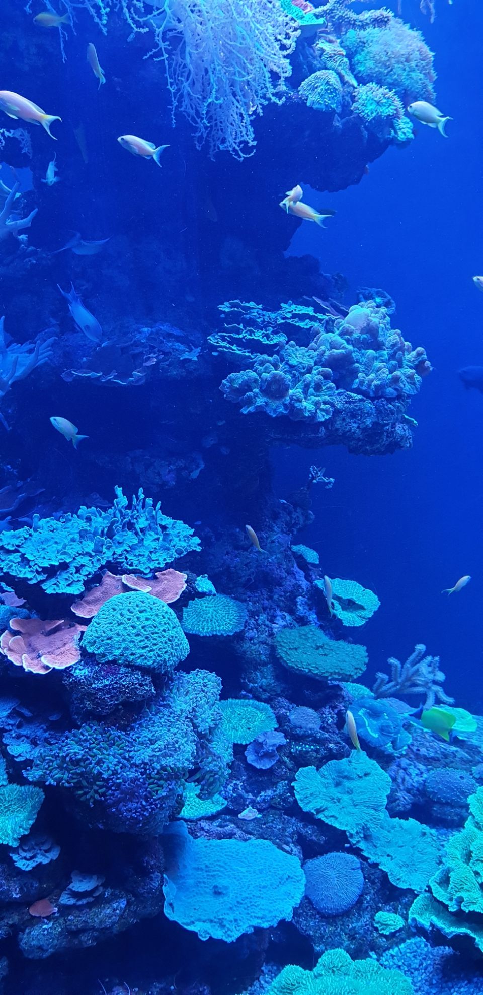Photo of Palma Aquarium, Carrer de Manuela de los Herreros, Palma, Spain by Shilpa Shenoy