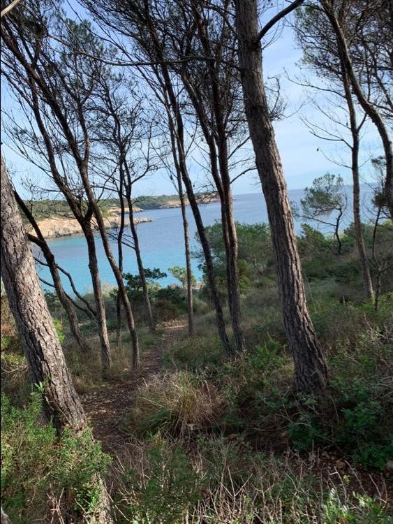 Photo of Mondragó Natural Park, Diseminado Diseminados Costa, Spain by Shilpa Shenoy