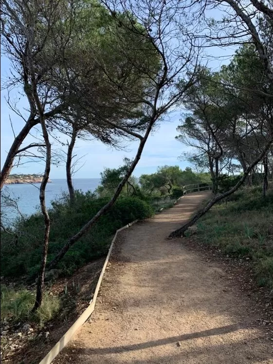 Photo of Mondragó Natural Park, Diseminado Diseminados Costa, Spain by Shilpa Shenoy