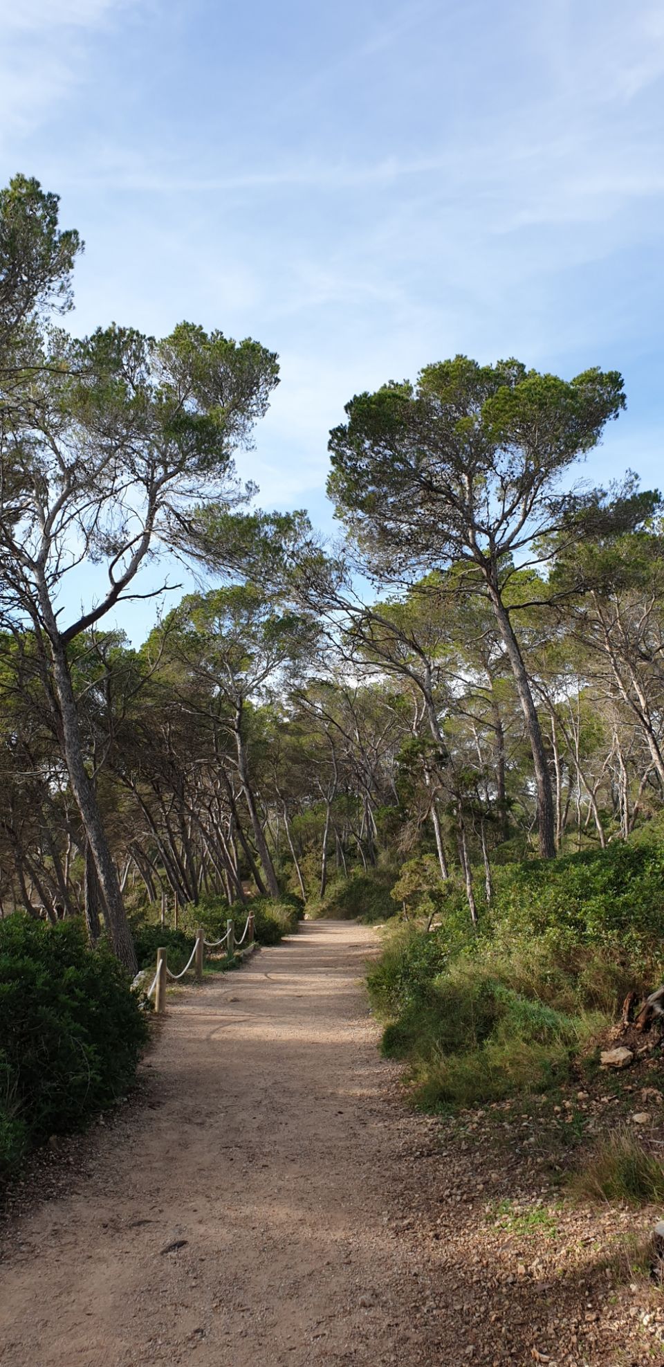 Photo of Mondragó Natural Park, Diseminado Diseminados Costa, Spain by Shilpa Shenoy