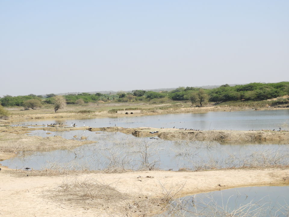 Photo of Ekal Mataji Mandir, Bharudia Vagad, Kutch, Gujarat, India by Shilpa Shenoy
