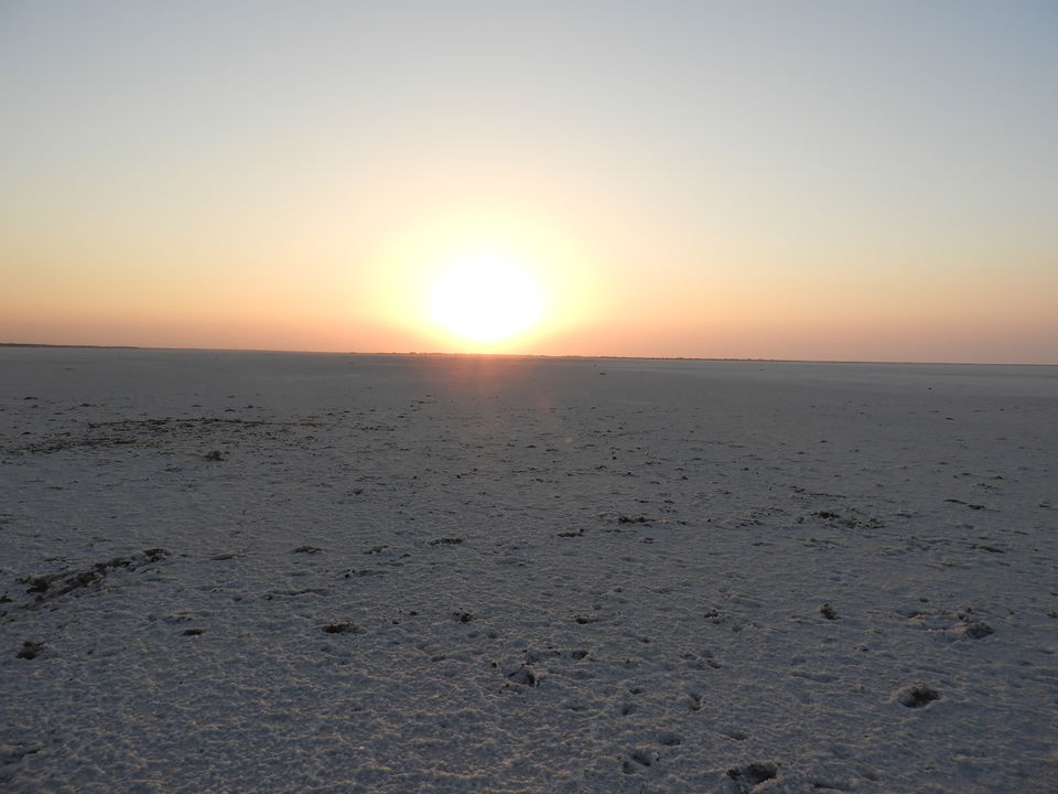 Photo of My visit to the largest district of India - Kutch by Shilpa Shenoy