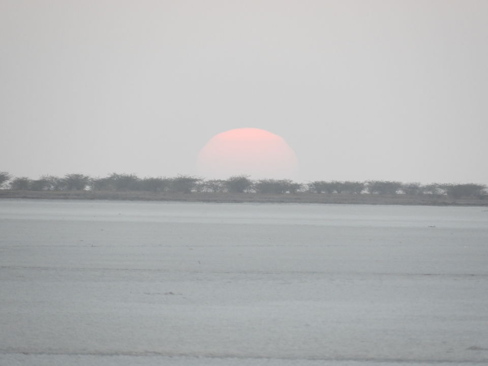 Photo of My visit to the largest district of India - Kutch by Shilpa Shenoy