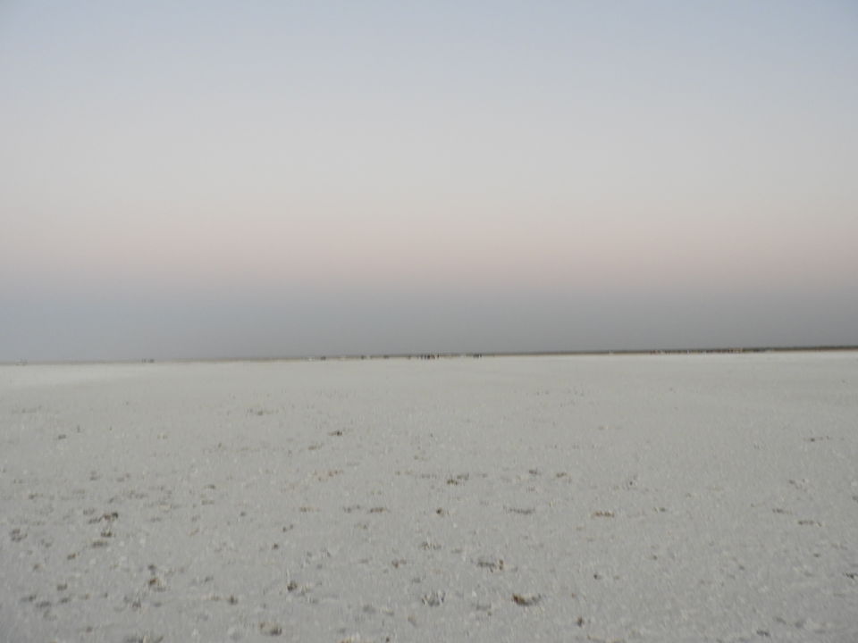 Photo of My visit to the largest district of India - Kutch by Shilpa Shenoy