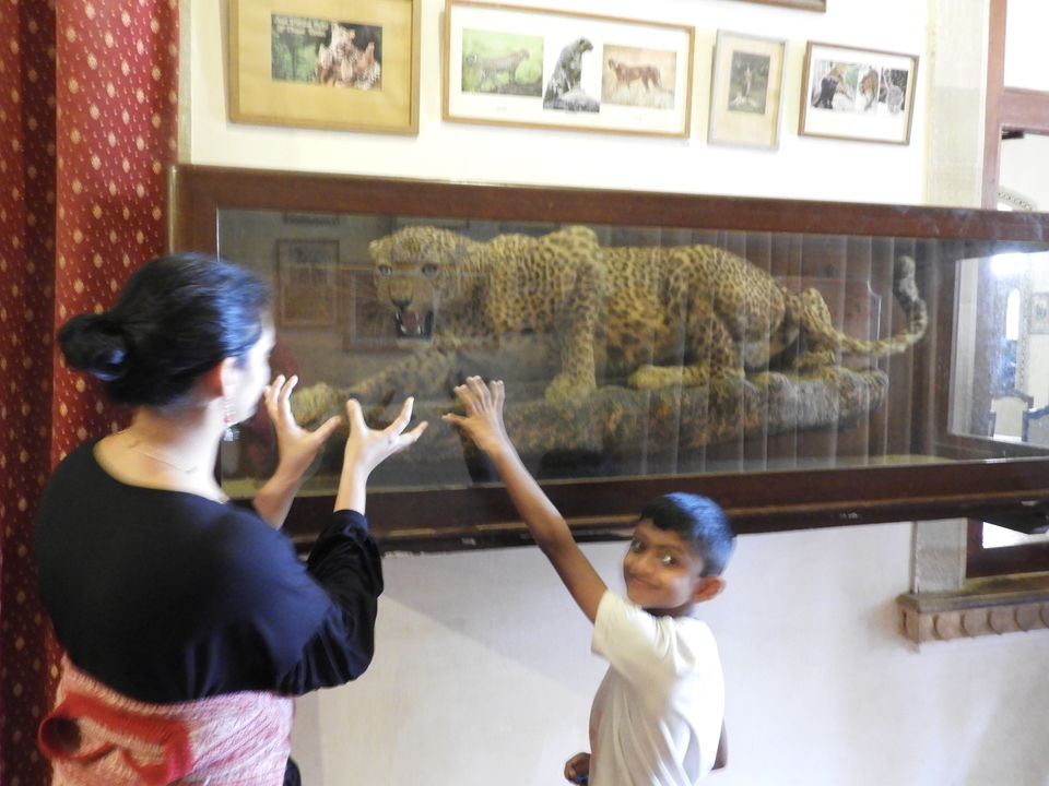 Photo of Vijay Vilas Palace, Mandvi Rural, Gujarat, India by Shilpa Shenoy