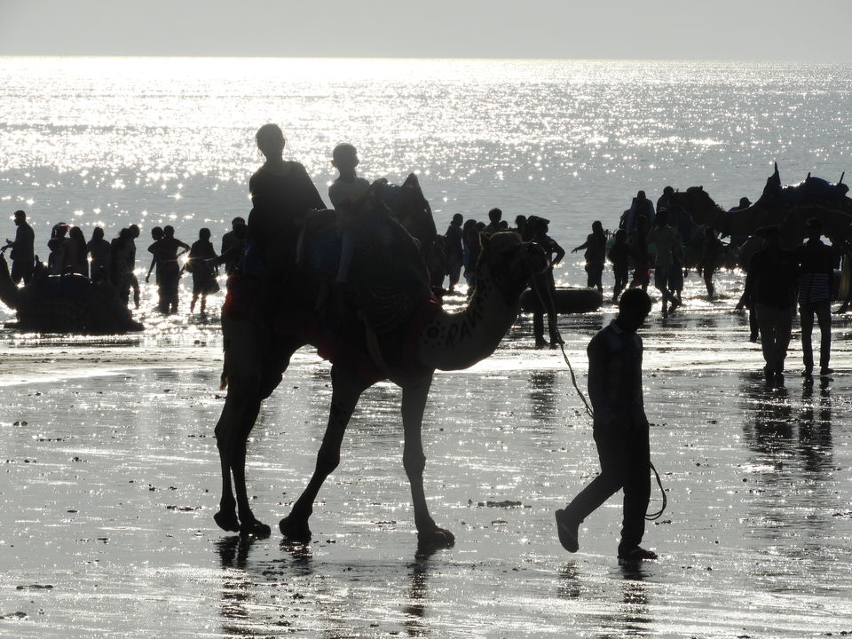 Photo of Mandvi Beach, Mandvi Rural, Gujarat, India by Shilpa Shenoy