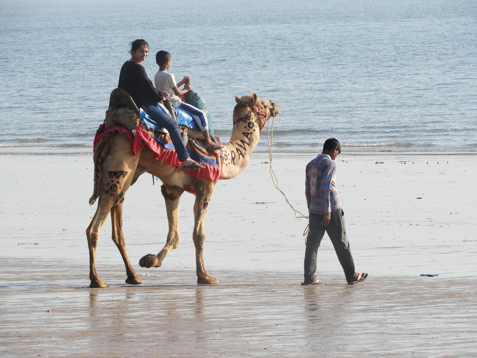 Photo of Mandvi Beach, Mandvi Rural, Gujarat, India by Shilpa Shenoy