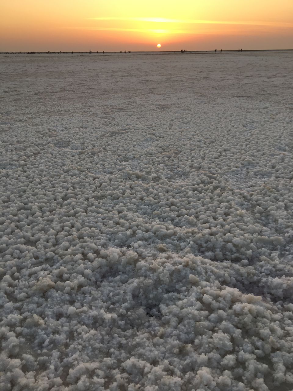 Photo of Dhordo Kutch Rann Utsav, Dhordo, Gujarat, India by Shilpa Shenoy