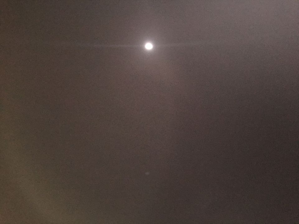 Photo of Dhordo Kutch Rann Utsav, Dhordo, Gujarat, India by Shilpa Shenoy