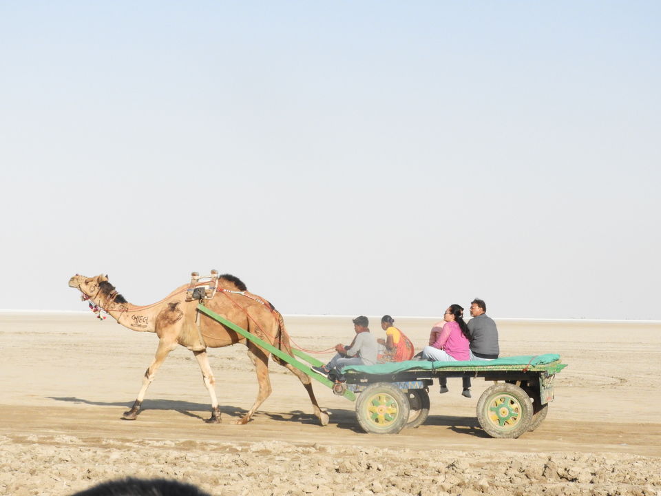 Photo of Dhordo Kutch Rann Utsav, Dhordo, Gujarat, India by Shilpa Shenoy