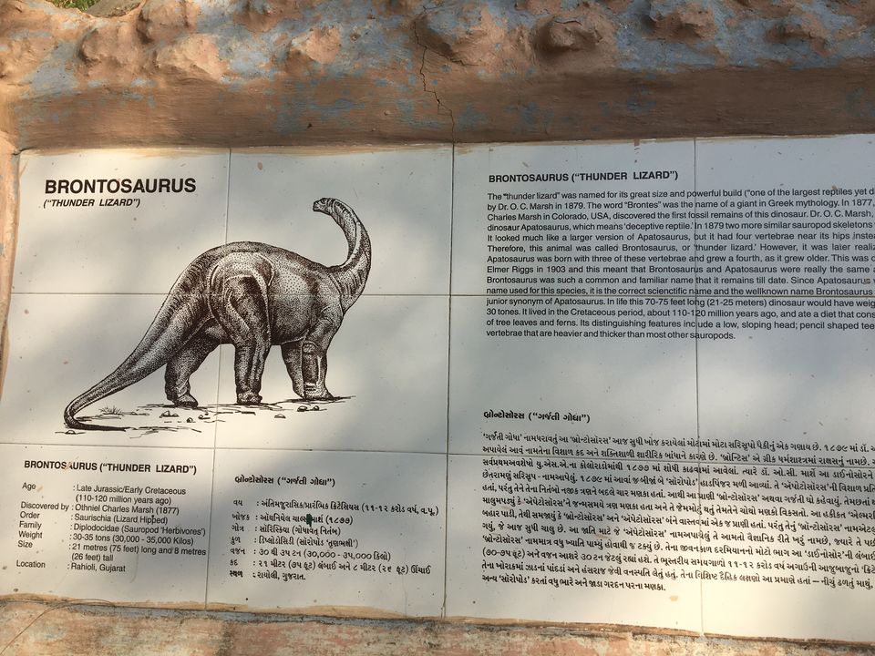 Photo of Dinosaur And Fossil Park, Nature Park Walk, Indroda, Gandhinagar, Gujarat, India by Shilpa Shenoy