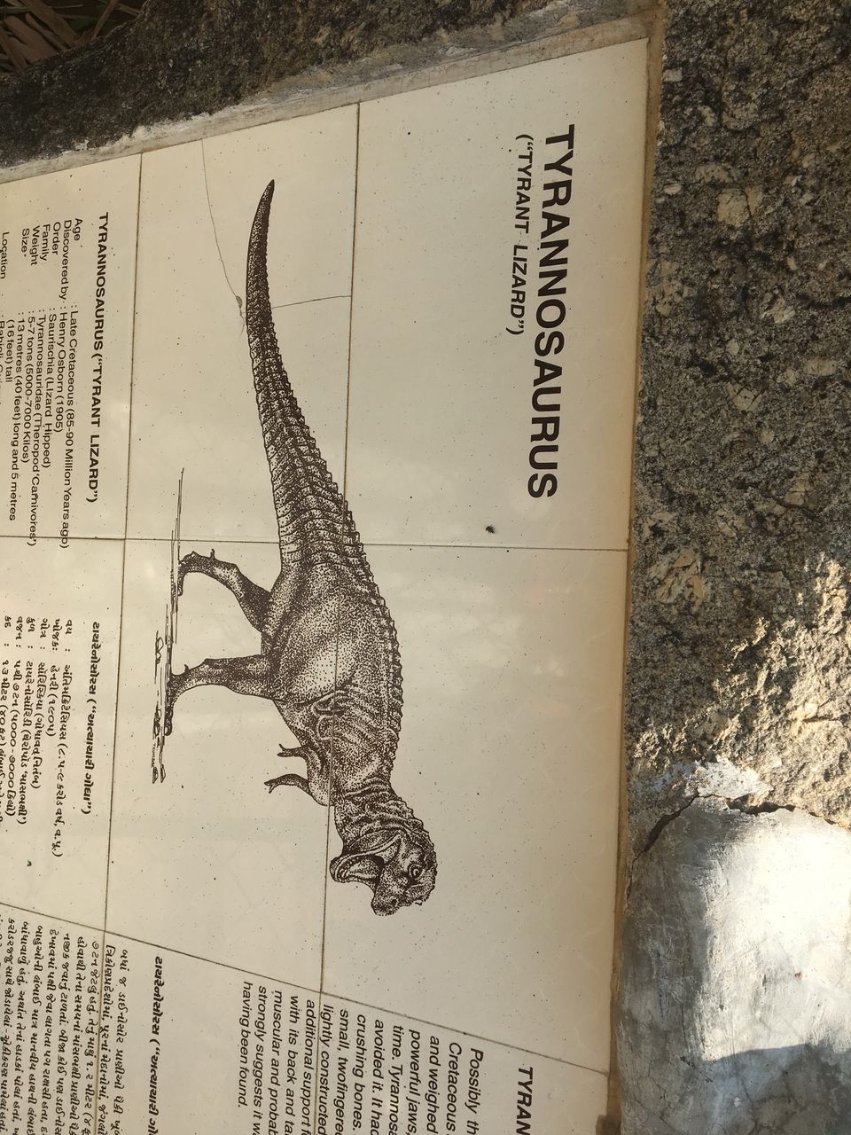Photo of Dinosaur And Fossil Park, Nature Park Walk, Indroda, Gandhinagar, Gujarat, India by Shilpa Shenoy