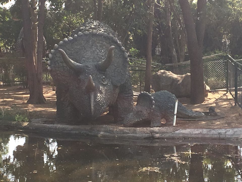 Photo of Dinosaur And Fossil Park, Nature Park Walk, Indroda, Gandhinagar, Gujarat, India by Shilpa Shenoy