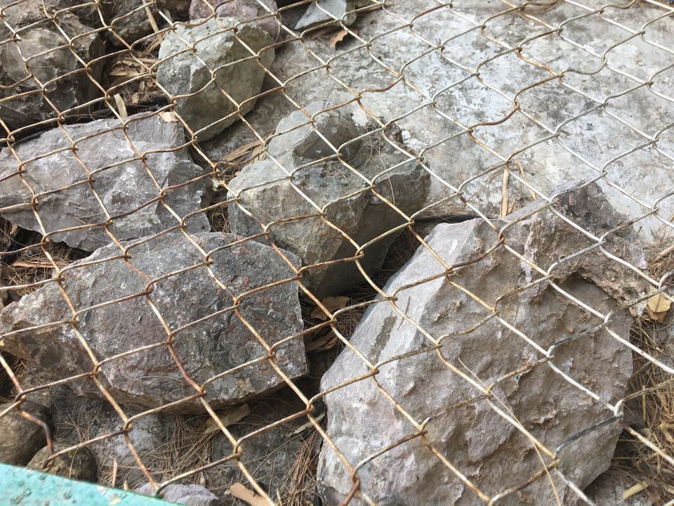 Photo of Dinosaur And Fossil Park, Nature Park Walk, Indroda, Gandhinagar, Gujarat, India by Shilpa Shenoy