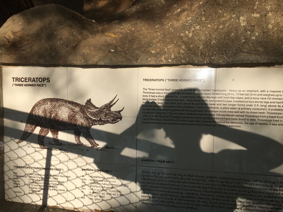 Photo of Dinosaur And Fossil Park, Nature Park Walk, Indroda, Gandhinagar, Gujarat, India by Shilpa Shenoy