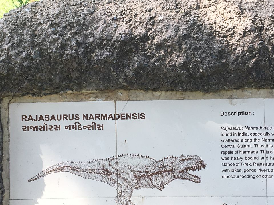 Photo of Dinosaur And Fossil Park, Nature Park Walk, Indroda, Gandhinagar, Gujarat, India by Shilpa Shenoy