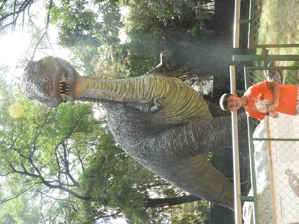 Photo of Dinosaur And Fossil Park, Nature Park Walk, Indroda, Gandhinagar, Gujarat, India by Shilpa Shenoy
