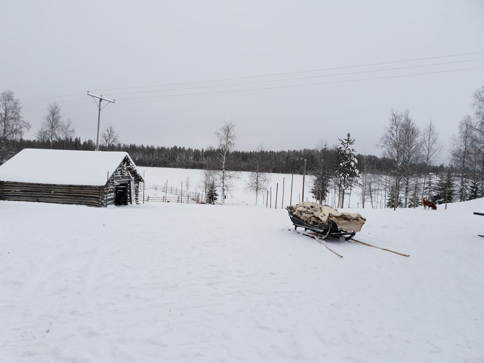 Photo of Glimpses of Arctic life as tourist in Rovaniemi,Lapland part of Finland by Shilpa Shenoy
