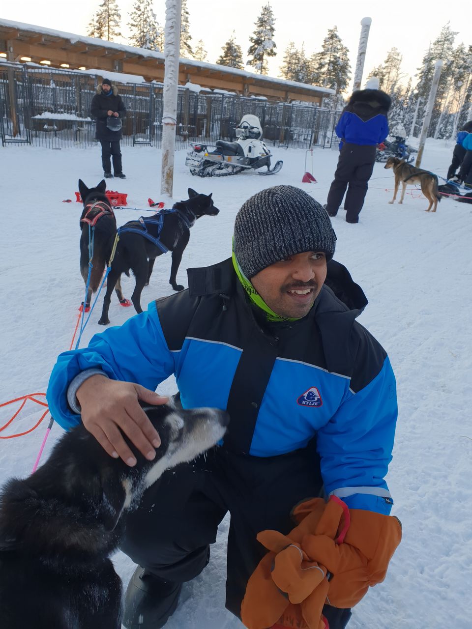 Photo of Bearhill husky, Rovaniemi, Finland by Shilpa Shenoy