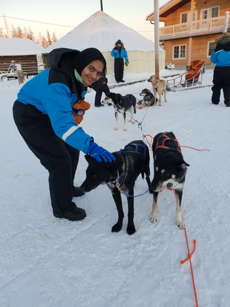 Photo of Bearhill husky, Rovaniemi, Finland by Shilpa Shenoy