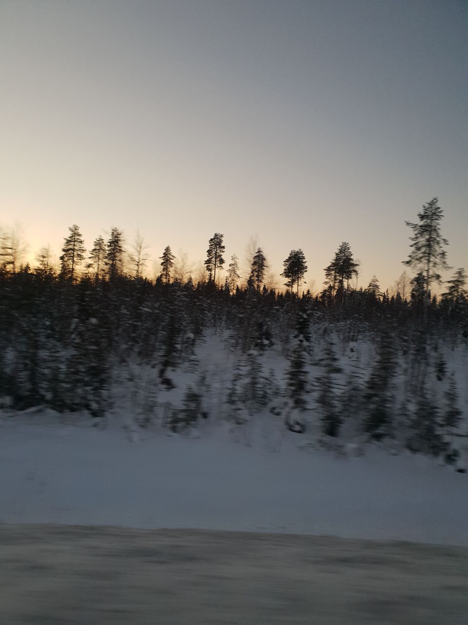 Photo of Bearhill husky, Rovaniemi, Finland by Shilpa Shenoy