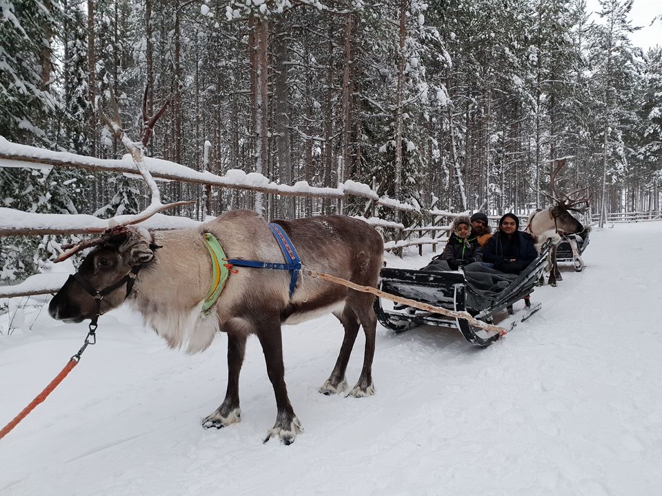 Photo of Glimpses of Arctic life as tourist in Rovaniemi,Lapland part of Finland by Shilpa Shenoy
