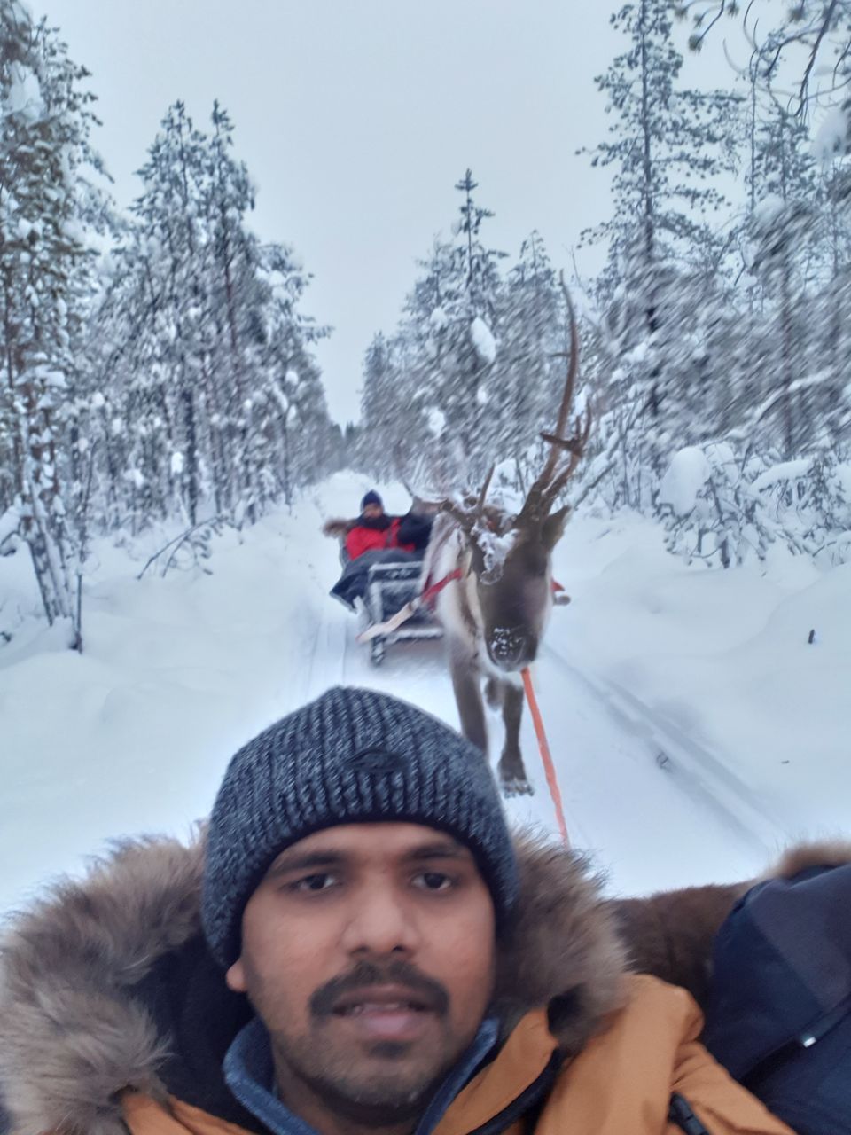 Photo of Glimpses of Arctic life as tourist in Rovaniemi,Lapland part of Finland by Shilpa Shenoy